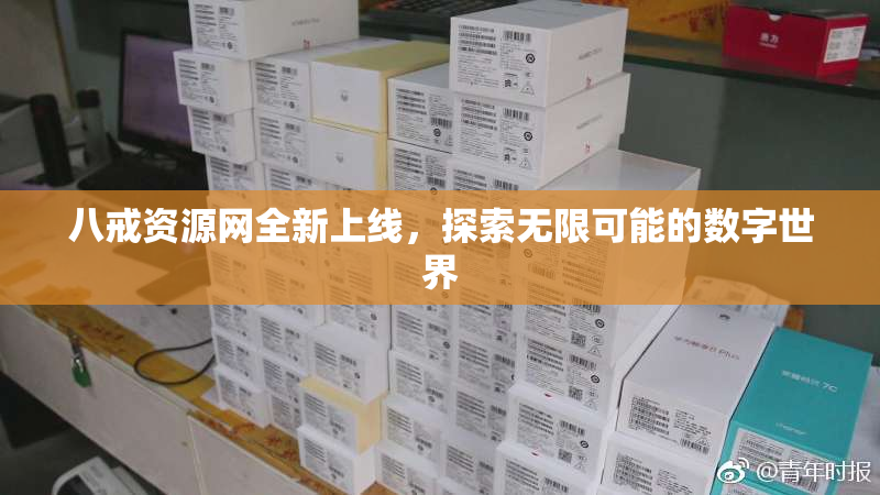 八戒资源网全新上线，探索无限可能的数字世界