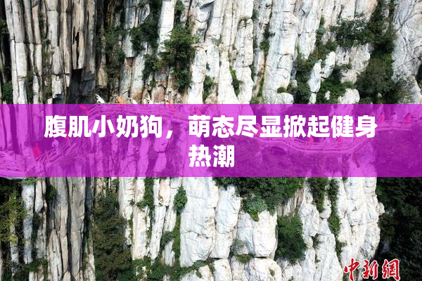 腹肌小奶狗，萌态尽显掀起健身热潮