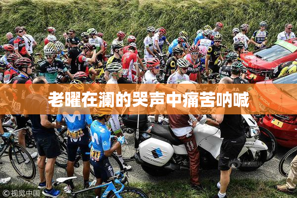 老曜在澜的哭声中痛苦呐喊