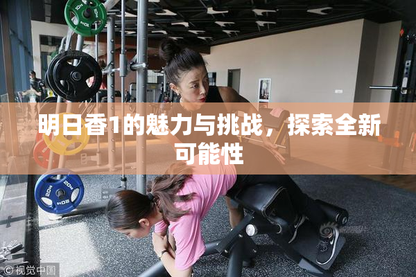 明日香1的魅力与挑战，探索全新可能性