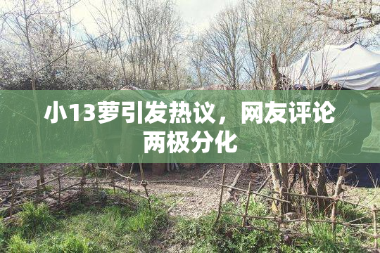 小13萝引发热议，网友评论两极分化