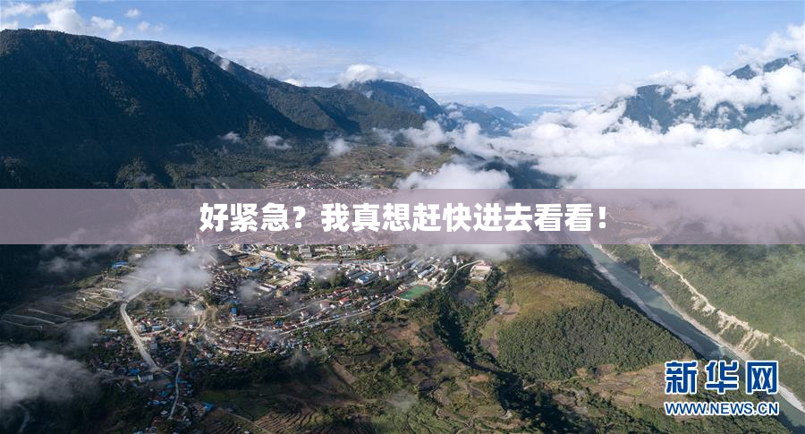 好紧急？我真想赶快进去看看！