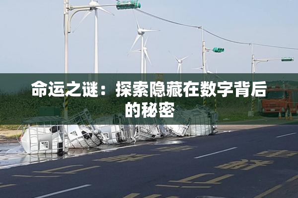 命运之谜：探索隐藏在数字背后的秘密