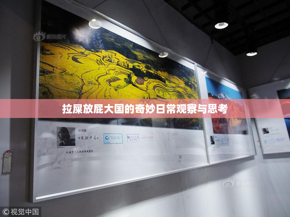拉屎放屁大国的奇妙日常观察与思考
