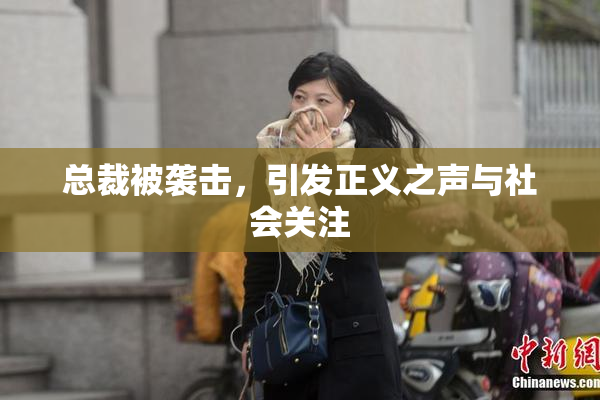 总裁被袭击，引发正义之声与社会关注
