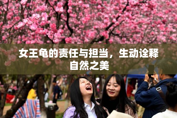 女王龟的责任与担当，生动诠释自然之美