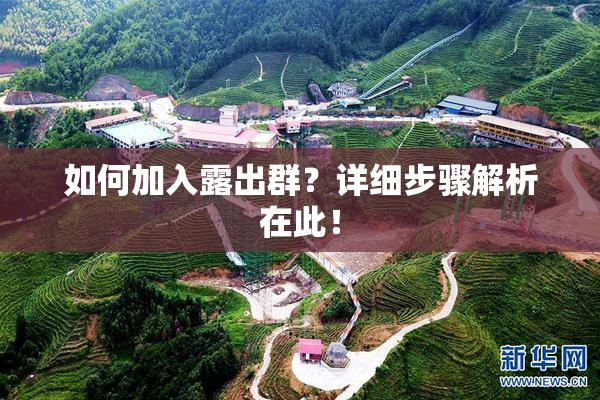 如何加入露出群？详细步骤解析在此！