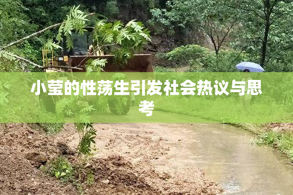 小莹的性荡生引发社会热议与思考
