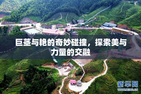 巨茎与艳的奇妙碰撞，探索美与力量的交融