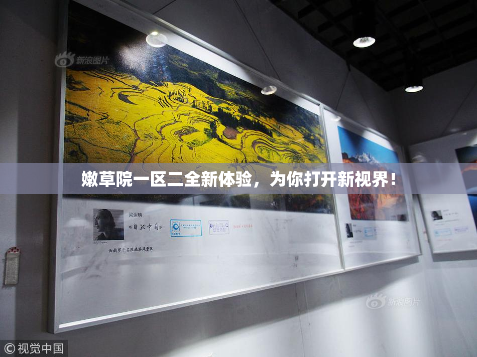 嫩草院一区二全新体验，为你打开新视界！