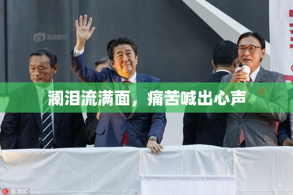 澜泪流满面，痛苦喊出心声