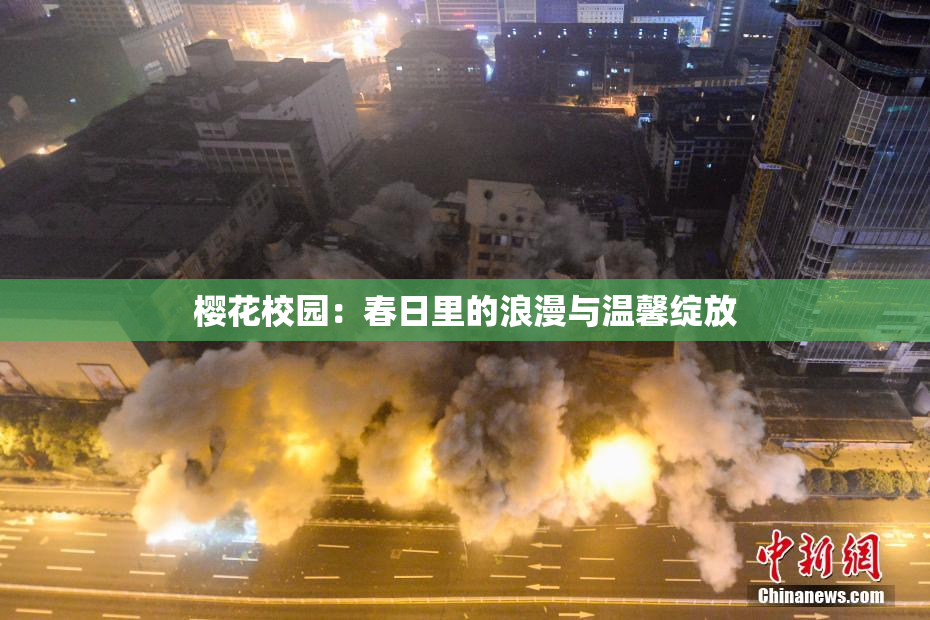樱花校园：春日里的浪漫与温馨绽放