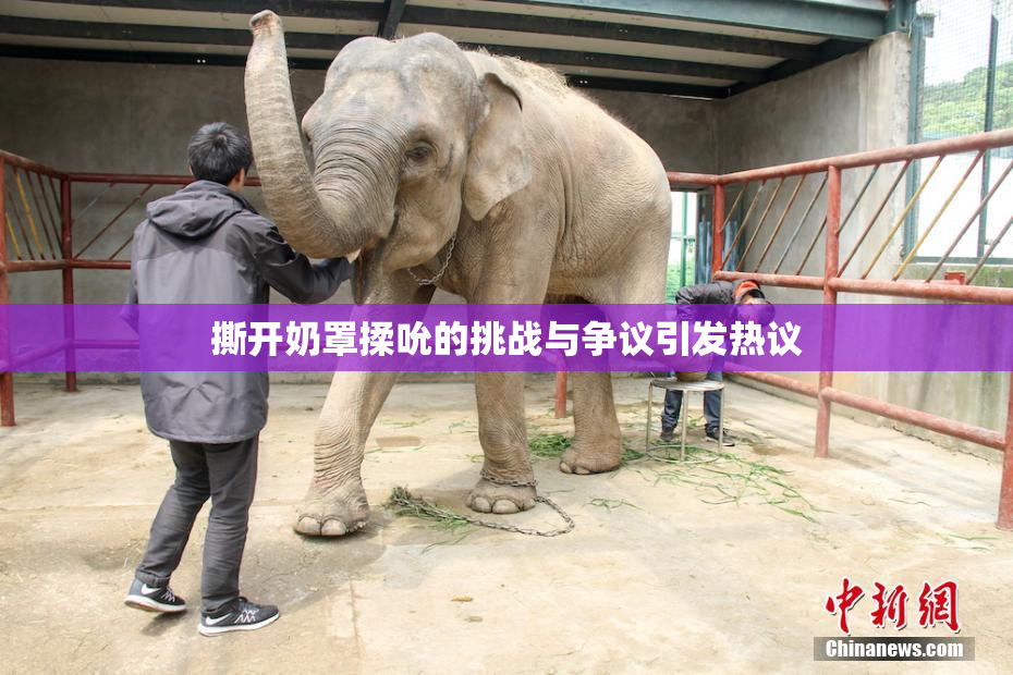 撕开奶罩揉吮的挑战与争议引发热议