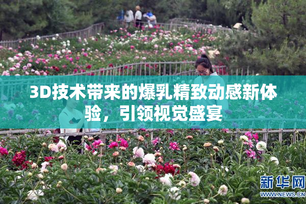 3D技术带来的爆乳精致动感新体验，引领视觉盛宴