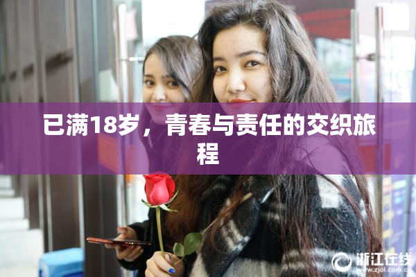 已满18岁，青春与责任的交织旅程