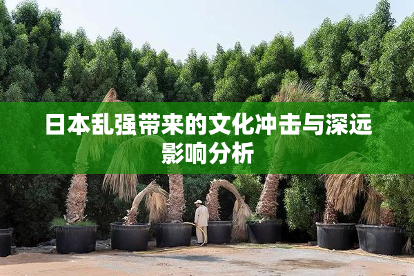 日本乱强带来的文化冲击与深远影响分析