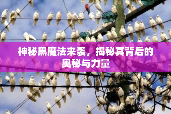 神秘黑魔法来袭，揭秘其背后的奥秘与力量