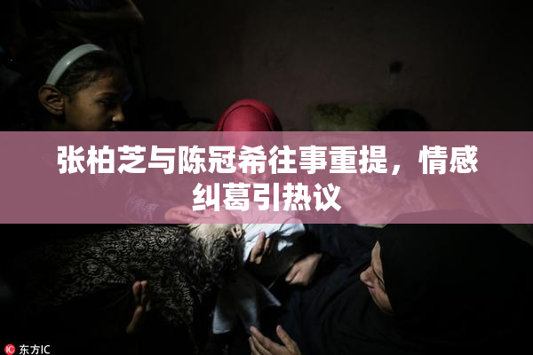张柏芝与陈冠希往事重提，情感纠葛引热议
