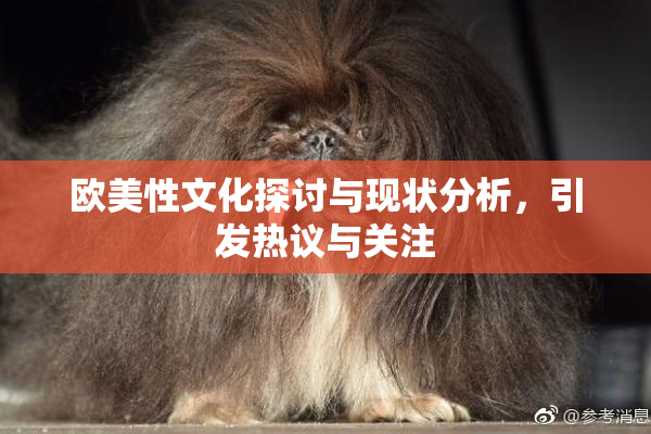欧美性文化探讨与现状分析，引发热议与关注