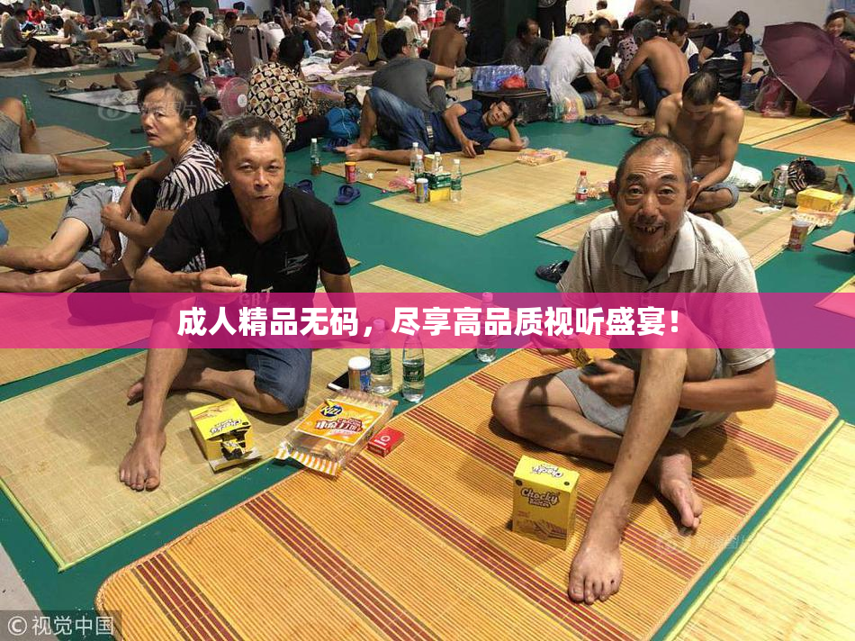 成人精品无码，尽享高品质视听盛宴！