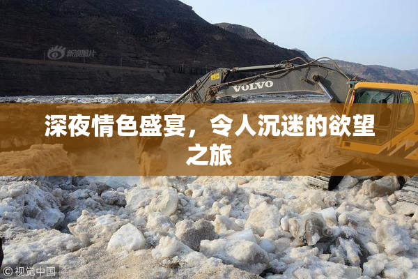 深夜情色盛宴，令人沉迷的欲望之旅