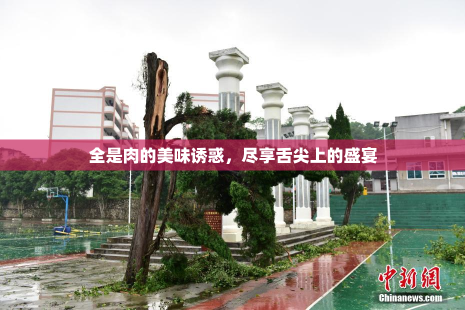 全是肉的美味诱惑，尽享舌尖上的盛宴