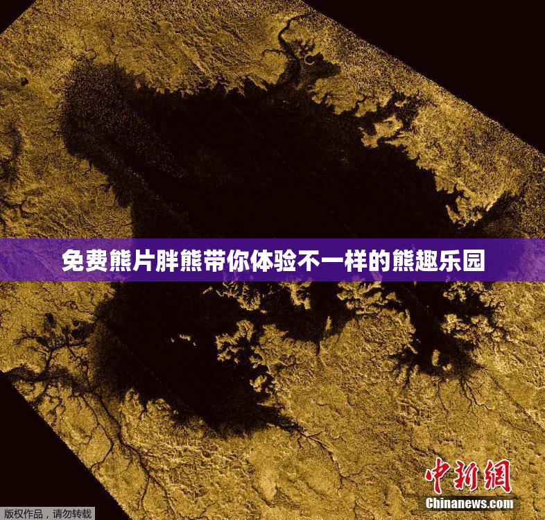 免费熊片胖熊带你体验不一样的熊趣乐园