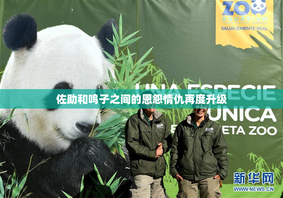 佐助和鸣子之间的恩怨情仇再度升级