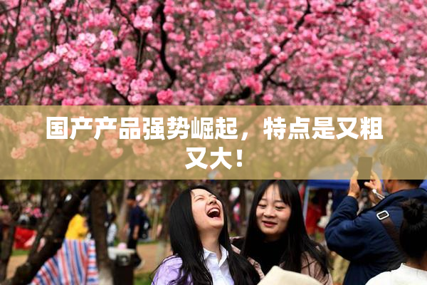 国产产品强势崛起，特点是又粗又大！