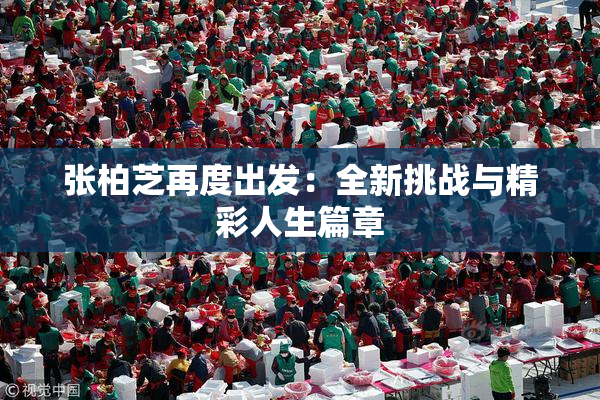 张柏芝再度出发：全新挑战与精彩人生篇章