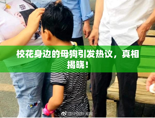 校花身边的母狗引发热议，真相揭晓！