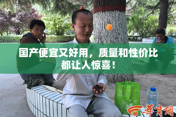 国产便宜又好用，质量和性价比都让人惊喜！