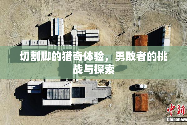 切割脚的猎奇体验，勇敢者的挑战与探索