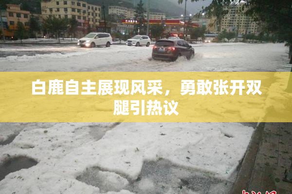 白鹿自主展现风采，勇敢张开双腿引热议
