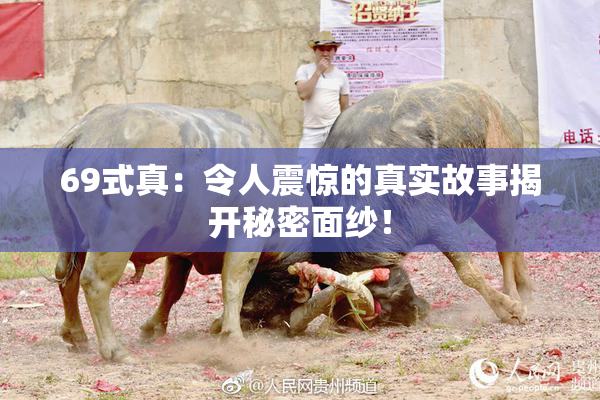 69式真：令人震惊的真实故事揭开秘密面纱！