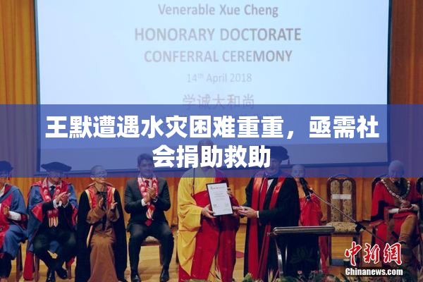 王默遭遇水灾困难重重，亟需社会捐助救助