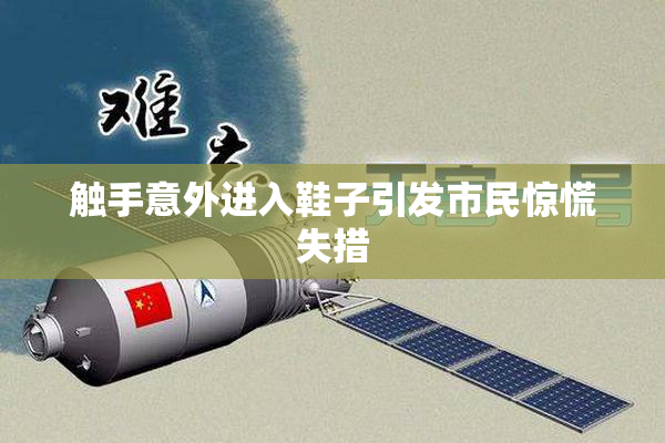 触手意外进入鞋子引发市民惊慌失措