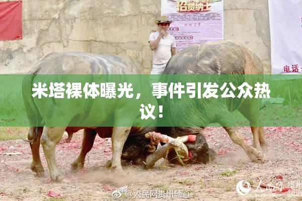 米塔裸体曝光，事件引发公众热议！