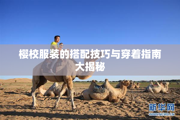 樱校服装的搭配技巧与穿着指南大揭秘