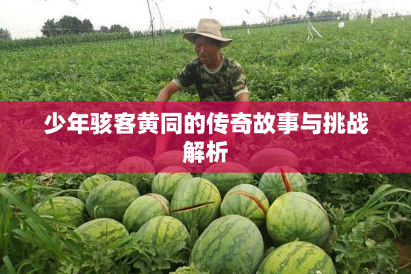 少年骇客黄同的传奇故事与挑战解析