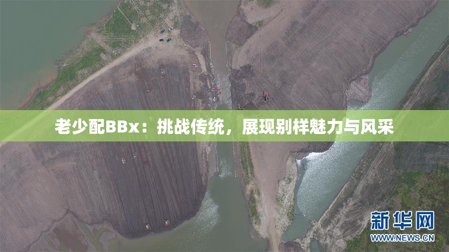 老少配BBx：挑战传统，展现别样魅力与风采
