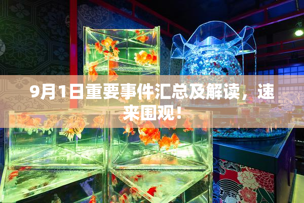 9月1日重要事件汇总及解读，速来围观！