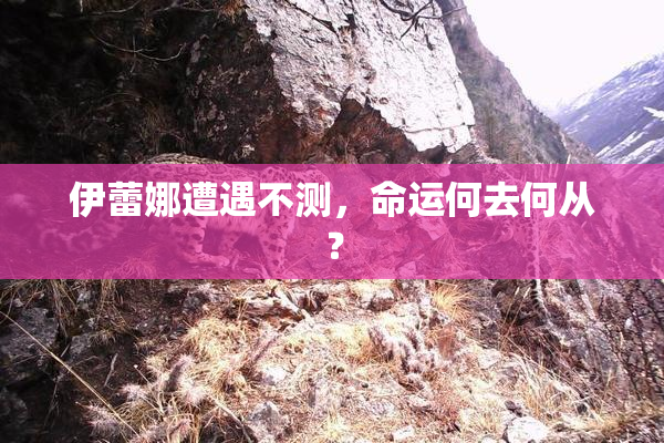 伊蕾娜遭遇不测，命运何去何从？