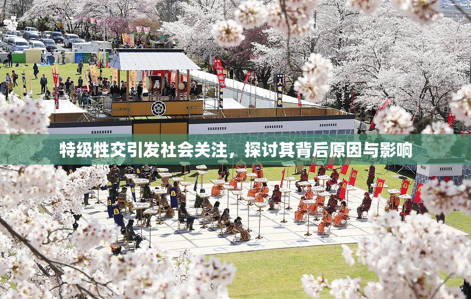 特级牲交引发社会关注，探讨其背后原因与影响