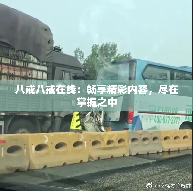 八戒八戒在线：畅享精彩内容，尽在掌握之中