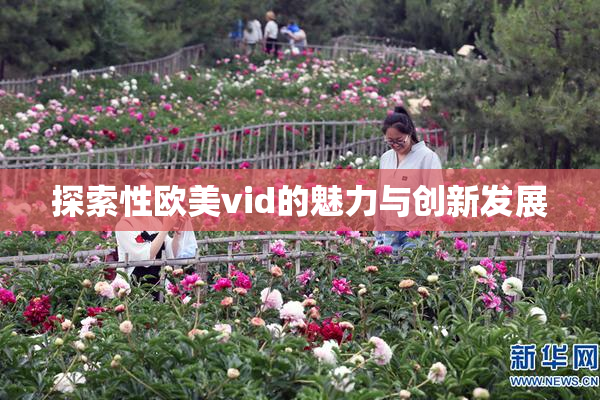探索性欧美vid的魅力与创新发展