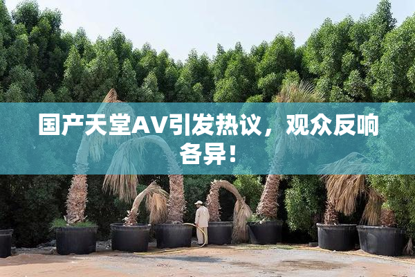 国产天堂AV引发热议，观众反响各异！