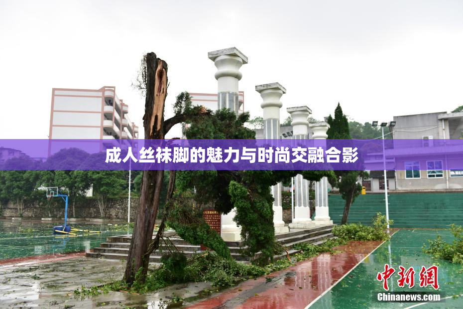 成人丝袜脚的魅力与时尚交融合影