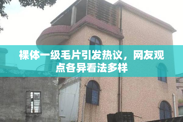 裸体一级毛片引发热议，网友观点各异看法多样