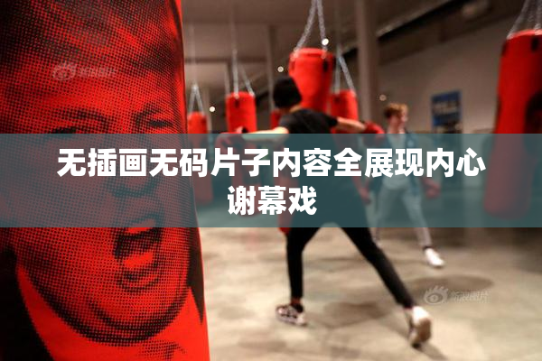 无插画无码片子内容全展现内心谢幕戏